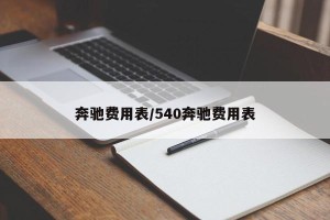 奔驰费用表/540奔驰费用表