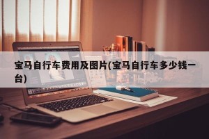 宝马自行车费用及图片(宝马自行车多少钱一台)