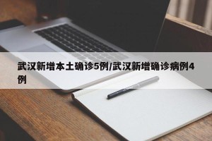 武汉新增本土确诊5例/武汉新增确诊病例4例