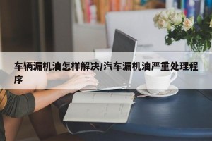 车辆漏机油怎样解决/汽车漏机油严重处理程序