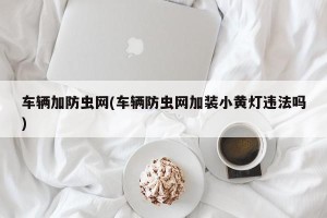 车辆加防虫网(车辆防虫网加装小黄灯违法吗)