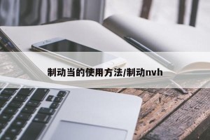制动当的使用方法/制动nvh